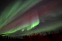 Aurora Alaska Tour 2020 3linescurtain1